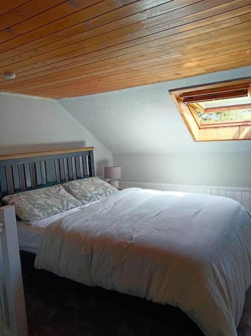 Apartmán Dingle Escape -2 Bed -Sleeps 4 Exteriér fotografie